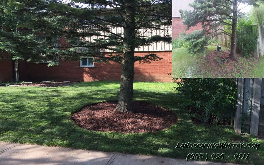 Landscaping Gardening and Sod